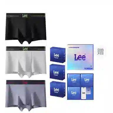 Lee 1.0 A10A 3