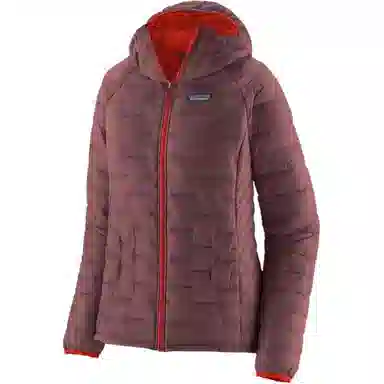 patagonia Micro Puff Logo