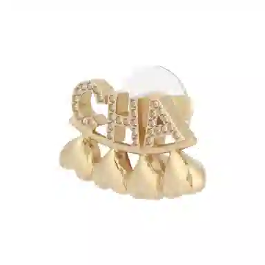 Chanel Classic Logo Earrings