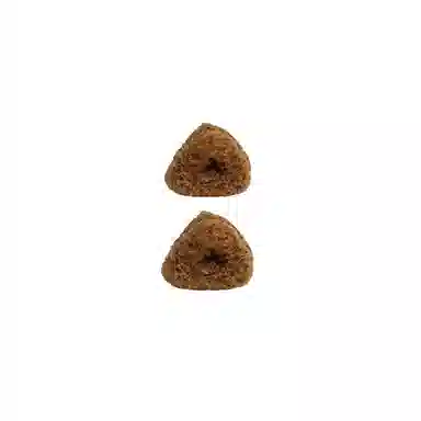 水中玉 豹纹公主头蝴蝶结抓夹前额侧边刘海顶夹发卡高级感夹子头饰#好运 亚克力 发夹 女款