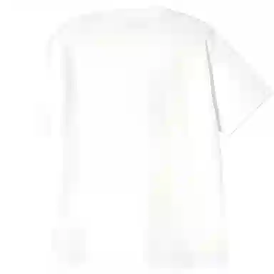 Carhartt WIP SS25 SS Hot Script T-Shirt T