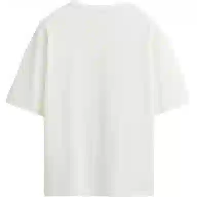ZARA T