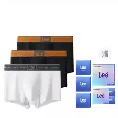 Lee 1.0 A10A 3