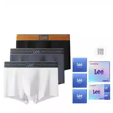 Lee 1.0 A10A 3