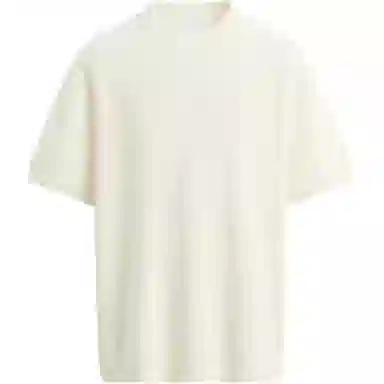 ZARA T