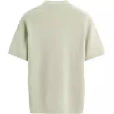 ZARA T