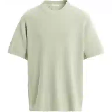 ZARA T
