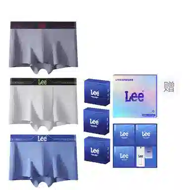 Lee 1.0 A10A 3