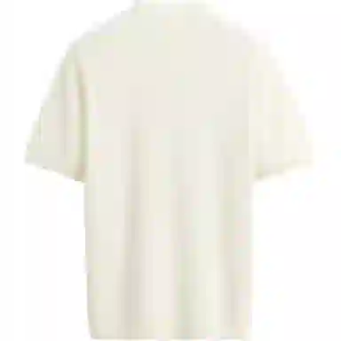 ZARA T