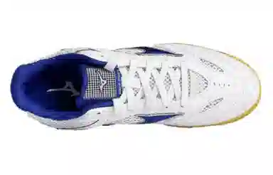 Mizuno Wave Drive 8