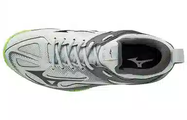 Mizuno Ghost Shadow