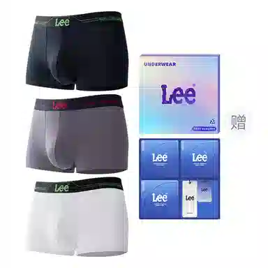 Lee 1.0 A10A 3