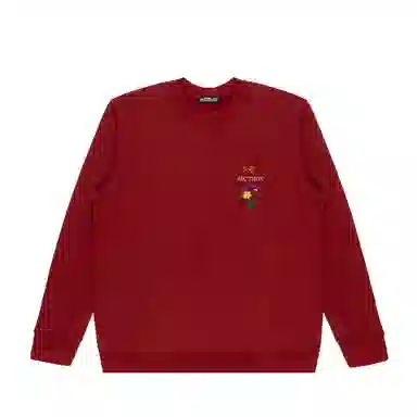 Arcteryx Emblem logo