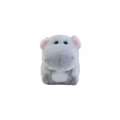 15cm