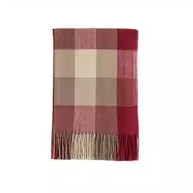 DAISY BEAUTY 2025 100