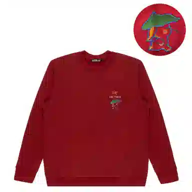 Arcteryx Emblem logo