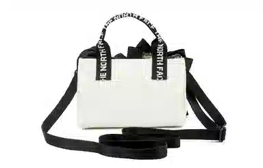 THE NORTH FACE PURPLE LABEL