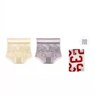 二三二三 蕾丝高腰无痕收腹轻时尚舒适透气甜美三角内裤 女款 礼袋装