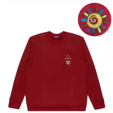 Arcteryx Emblem logo