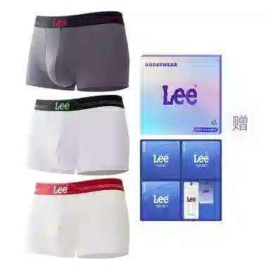 Lee 1.0 A10A 3