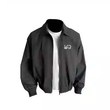VPDP logocleanfitbomber