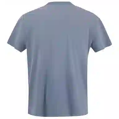 Polo Ralph Lauren T
