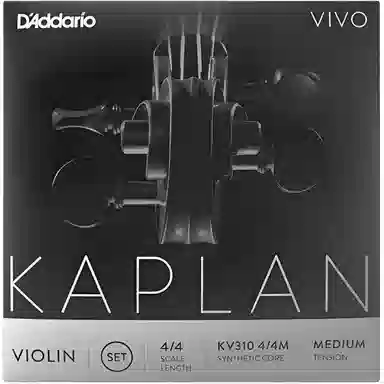 D'Addario Kaplan.