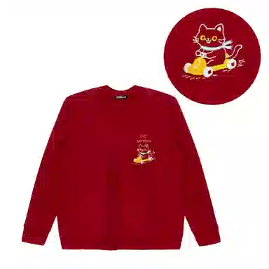 Arcteryx Emblem logo