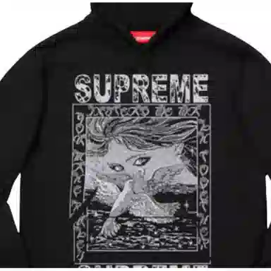 Supreme FW19 Week 2 Doves Hooded Sweatshirt