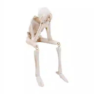 FGHGF