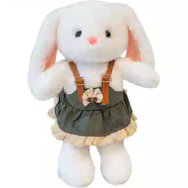 25cm