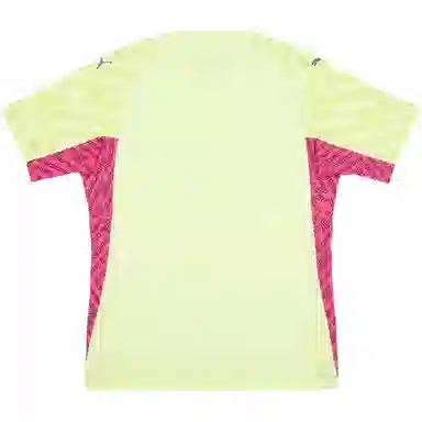 PUMA Manchester City 2023-24V