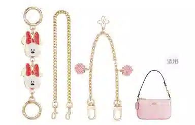 Disney COACH Nolita 19