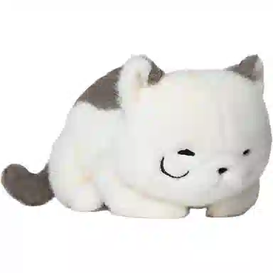 38cm60cm