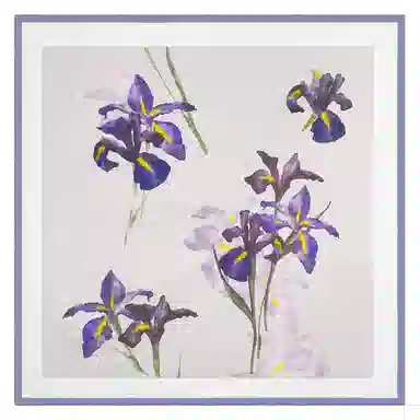 一米画纱 丝绸质感花卉图案国风印花真丝方巾踏青郊游装饰领巾拍照搭配 桑蚕丝 丝巾 女款