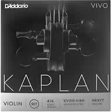 D'Addario Kaplan.