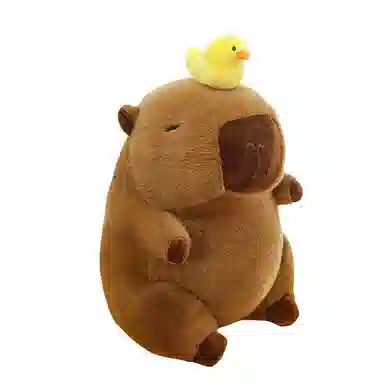 23cm30cm40cm50cm