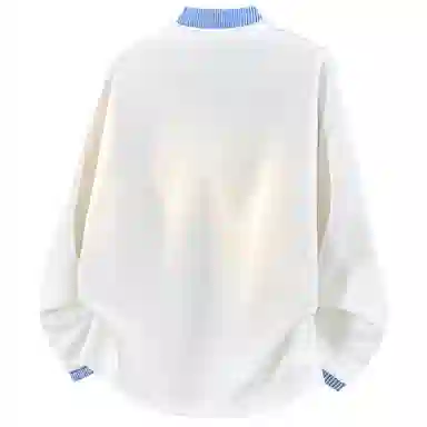 TSMLXLT V
