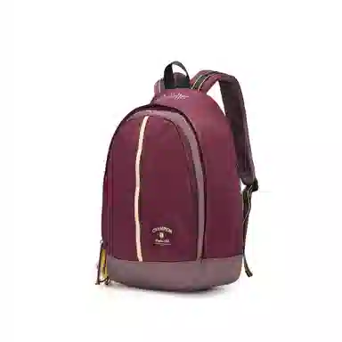 Champion x Harry Potter K-Pure Backpack