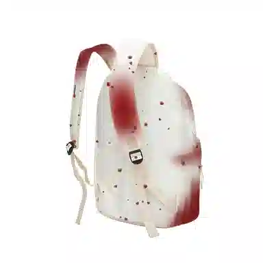 Converse Logo Backpack White Red