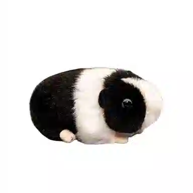 18cm