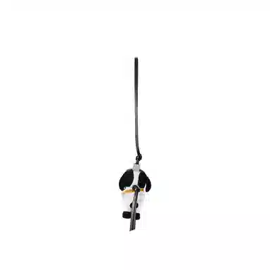 AMAZING SONG DOGGIEGO IP