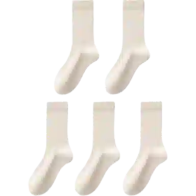 BANGBOY X IZTION 2025