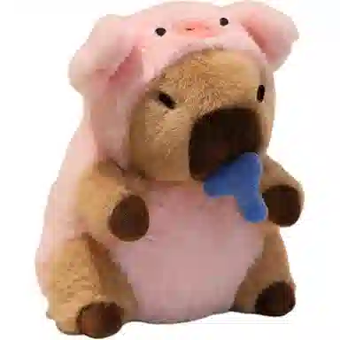 20cm