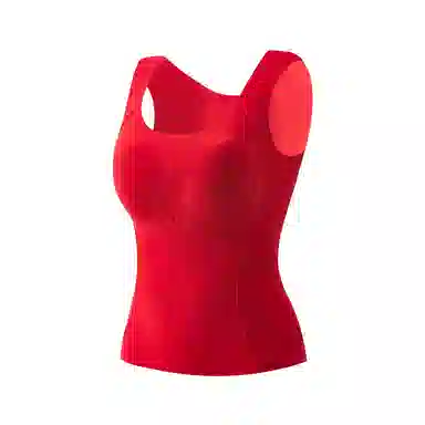 兰缪 女士春秋冬无痕提拉紧致舒适保暖抗静电亲肤内衣打底衣 女款