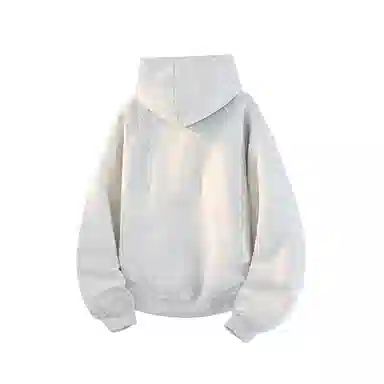 INS
