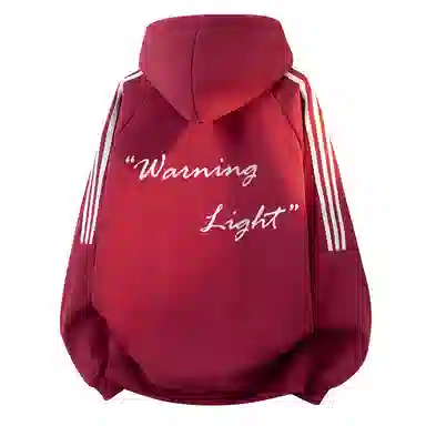 WARNING LIGHT 480cleanfitins