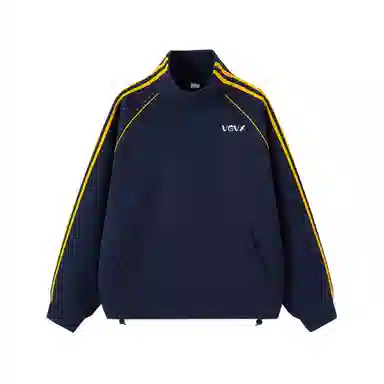 VGVX