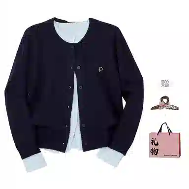 柏黛妃 舒适时尚通勤针织衫 女款