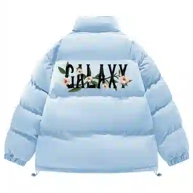 FISHGALAXY logo